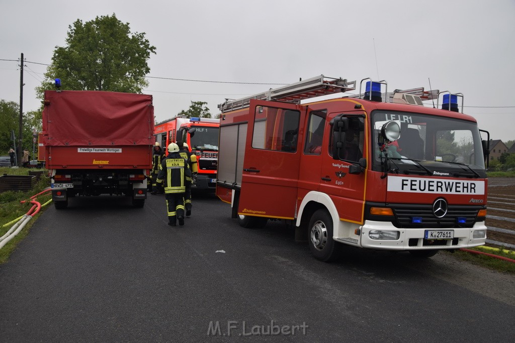 Feuer 3 Rheinkassel Feldkasseler Weg P1584.JPG - Miklos Laubert